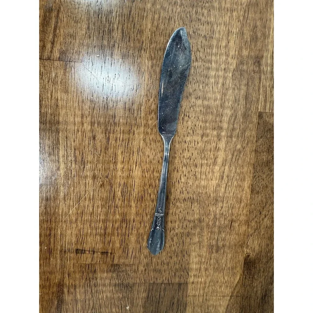 Wm. Rogers & Son Eldorado, Oneida, Butter Knife Silver Plated Floral Etched 7 in